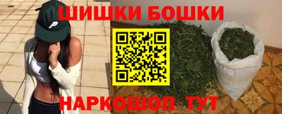 крисы Моздок