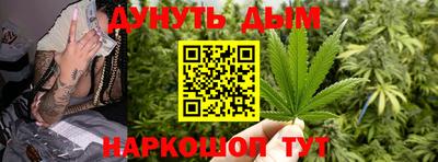 крисы Моздок
