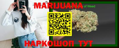 крисы Моздок