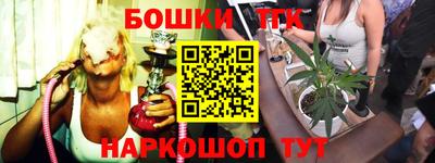 крисы Моздок