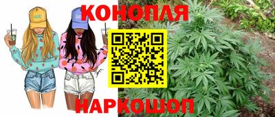 mdpv Можайск